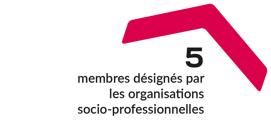 5 membres désignés par les organisations socio-professionnelles